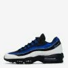 Nike Air Max 95 SE Black / Royal / Sail / Green